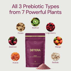 38TERA DMN ingredient list on packaging highlighting three prebiotics.