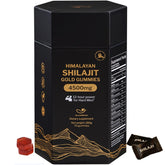 5Loaf2Fish Shilajit Gummies bottle shot for daily vitality in a convenient form