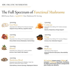 ACEWORKZ Mushroom Complex ingredients highlight Lion's Mane and Reishi benefits.