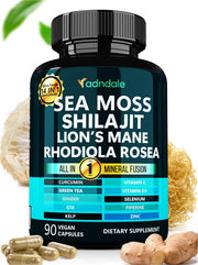 Adndale sea moss capsules packaging highlights vegan, non-GMO daily energy support