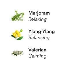Aera Bliss notes of marjoram, ylang-ylang and valerian for calm ambience.