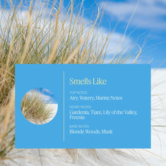 Aera Mini Beach House gardenia notes image highlighting soft floral accents