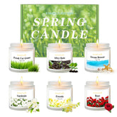 Aeraroma 6-pack spring candles in white frosted jars create cozy ambiance.