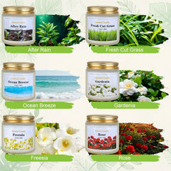 Aeraroma after rain candle offers fresh scent for a relaxing spring refresh.