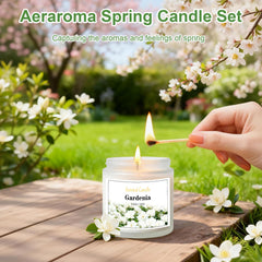 Aeraroma ocean breeze candle adds airy aroma to living spaces.