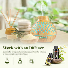 Aeshory essential oils set eucalyptus bottle for refreshing aroma and massage blends.