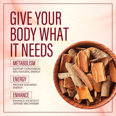 Aevezom Ceylon Cinnamon Softgels packaging with vibrant orange branding and high-potency formulation