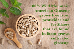 AG 100 capsules pouring into hand illustrate easy daily dosage
