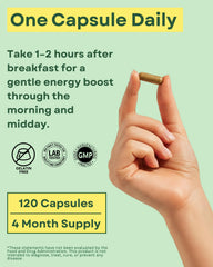 Close-up of Agami capsules with high-potency 20:1 extract