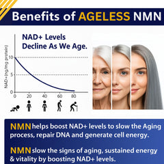 Close-up of Ageless NMN 500mg label emphasizing high potency formula for NAD+ support