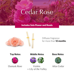 AGRARIA AirEssence diffuser reeds offer a clean modern look with long lasting fragrance