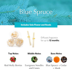 AGRARIA diffuser reeds provide a clean, ongoing aroma throughout your space.