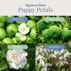 Air Esscentials Puppy Petals diffuser setup in a pet-friendly space