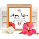 Aira Hibiscus Passion soy tart cubes fill a room with bright floral aroma
