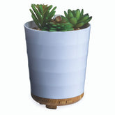 Airome Potted Succulent Diffuser in white pot with bamboo base for calm ambience.
