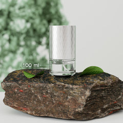Airversa AN5 100ml glass bottle design adds premium look to any room