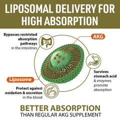 AJAXERRUE Liposomal Calcium AKG label-back highlights liposomal technology for improved absorption.