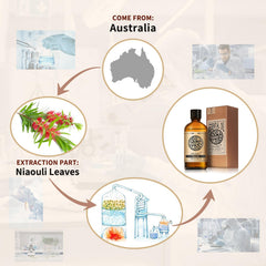 AKARZ Niaouli oil packaging in UV-protective amber bottle protects freshness.