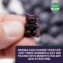 Akronia Valley Aronia Berry Gummies bottle on table shows convenient two-pack value