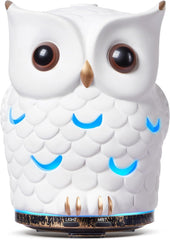 ALIEYE Ceramic Owl Diffuser front view with calm diffusion for nurseries.