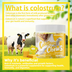 Allcoovita bovine colostrum chews pineapple gummy texture close-up, tasty support