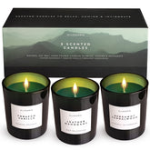Allegorie Bergamot & Sandalwood candle in a glass jar delivering refreshing, balanced mood
