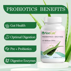 AloeCure Daily Probiotics capsules ready for daily digestive routine.