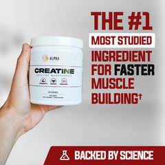 ALPHA LION Creatine Monohydrate Powder scoop showing 5 g serving.