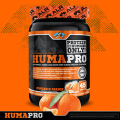 Humapro scoop with powder indicating concentrated amino acids for efficient absorption