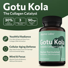 Aluma Labs Gotu Kola bottle shown for convenient daily skin nourishment.