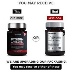 Close-up of Pygeum powder texture highlighting rich phytosterol content.