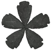 Amazing Gemstone black agate arrowhead collection close-up showing natural texture for DIY jewelry
