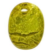Amazing Gemstone Green Opal Palm Stone close-up showing natural texture and color