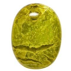 Amazing Gemstone Green Opal Palm Stone close-up showing natural texture and color
