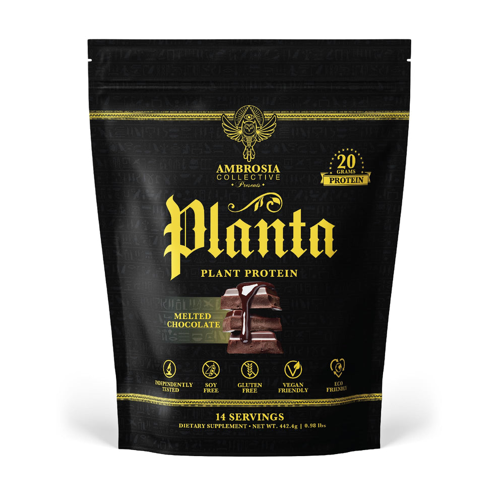 Ambrosia Planta chocolate scoop showing flavor ideal for shakes