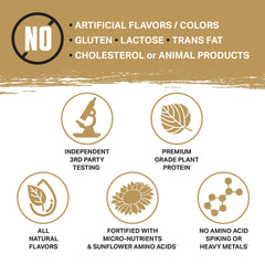 Ambrosia Planta ingredients close-up of pea, rice, and sunflower protein.