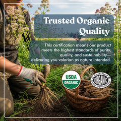 American Standard Valerian bottle back label showing serving size and organic certification