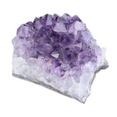 Amogeeli amethyst geode cluster centerpiece with natural purple hues for decor