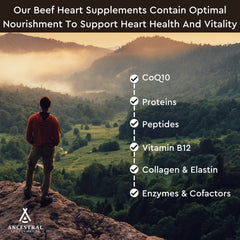 Ancestral Supplements Beef Heart ingredients panel noting non-GMO, pasture-raised sourcing.