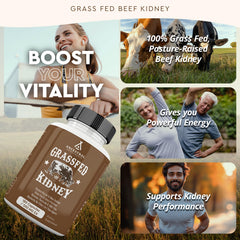 Ancestral Supplements grass-fed beef kidney bottle demonstrates purity and sourcing.