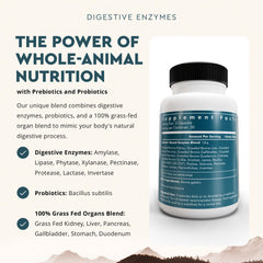 Ancestral Supplements grass-fed organ blend highlights nutrient-rich formula for gut support.