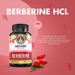 Ancient Bliss berberine capsules for easy daily routine.