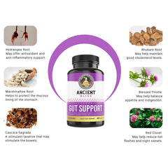 Ancient Bliss blessed thistle and hydrangea root close-up showing natural ingredients