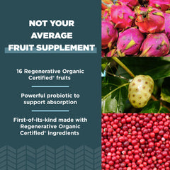 Ancient Nutrition dragonfruit, mulberry, and goji fruits blend for nutrient-dense days.