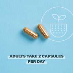 Ancient Nutrition regenerative bottle pouring capsules to illustrate daily dose.