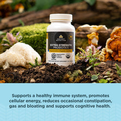 Open Ancient Nutrition probiotic bottle; convenient daily capsules