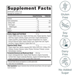 Ancient Nutrition SuperGreens berry flavor close-up showing vibrant powder.