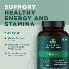 Ancient Nutrition Thyroid Support packaging on shelf for proactive wellness shoppers.