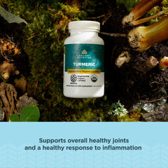 Ancient Nutrition turmeric three forms golden green blue collage showcases unique blend