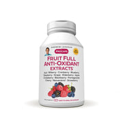 Andrew Lessman Fruit Full Anti-Oxidant Extracts bottle shown for daily antioxidant support.